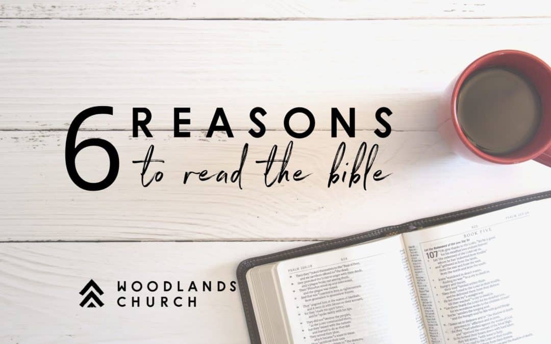 6 Reasons to Read the Bible