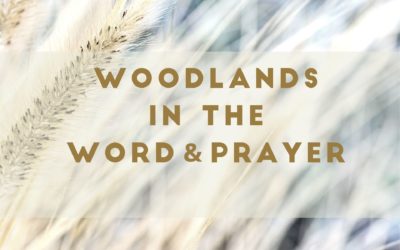 Woodlands in the Word & Prayer: December 26th-30th