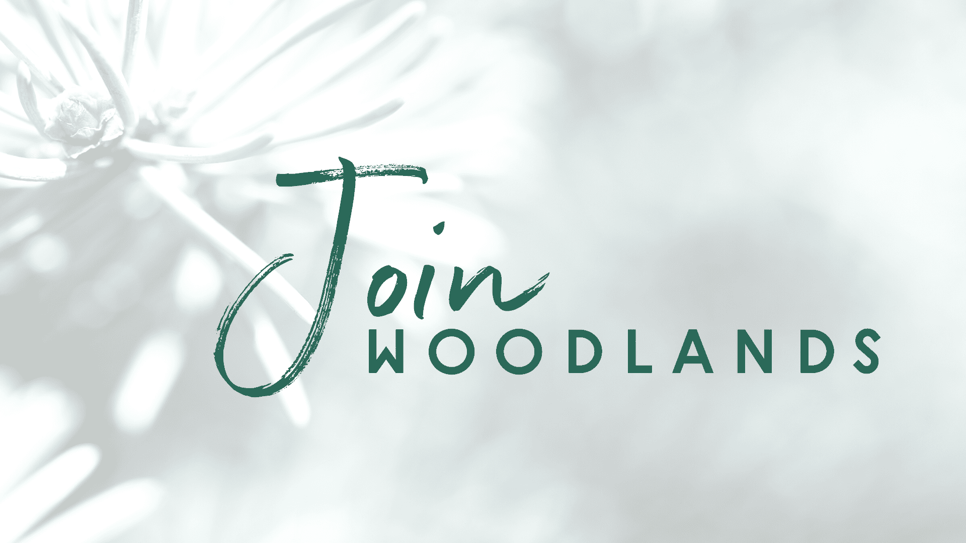 Join Woodlands updated